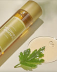 160 ml bottle of mugwort essence laying next to spread and mugwort leaf