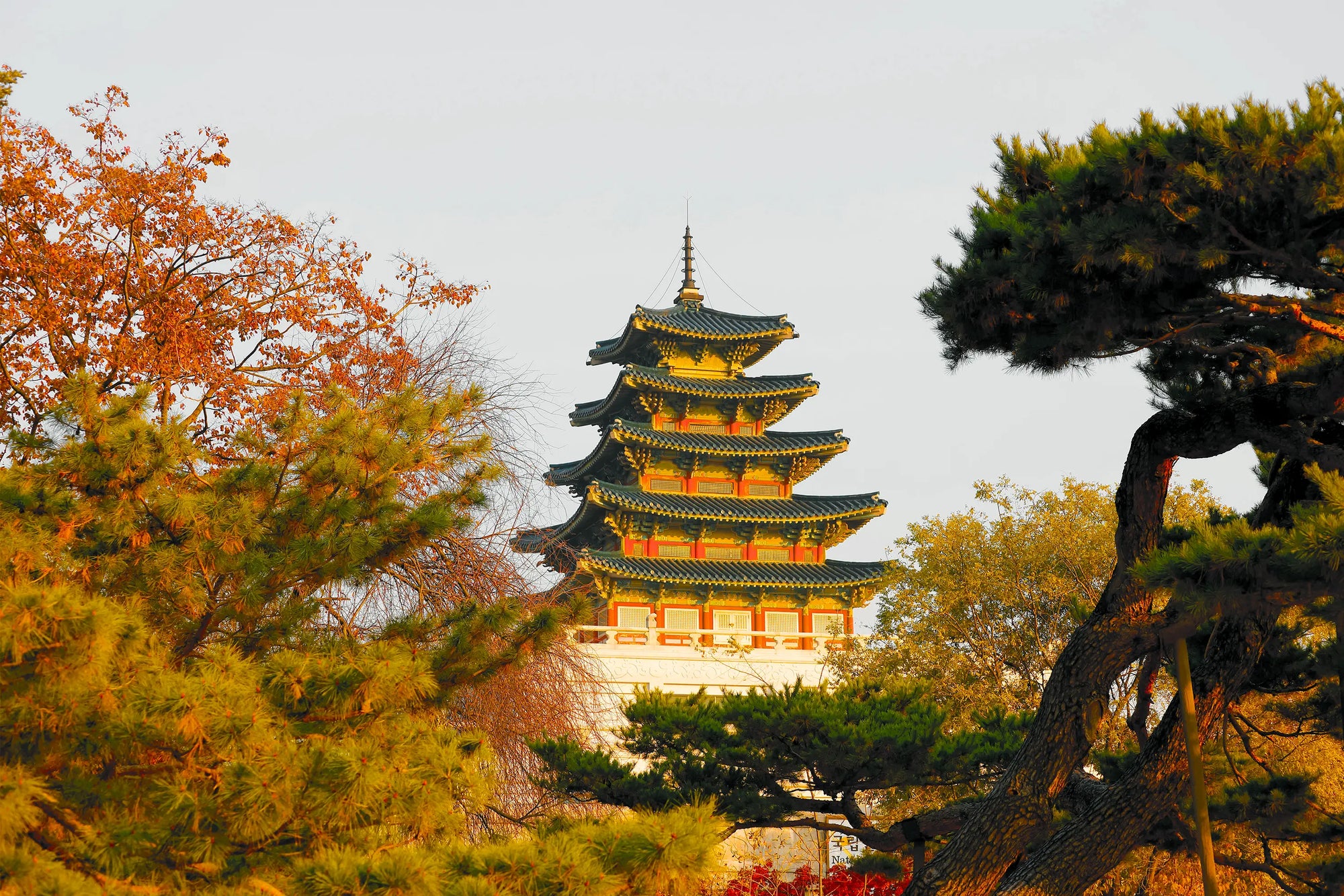 picture of golden korean palace in the forest